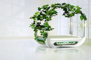 ecotypic-bed